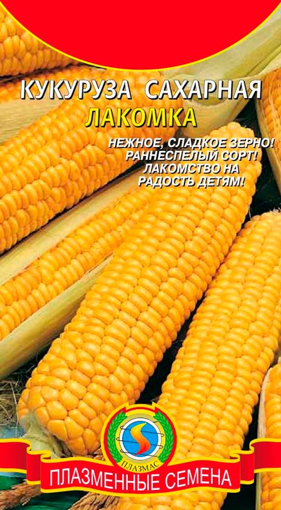 ������ ������ ������ ������� �������� �������� �������, 4 �   ����