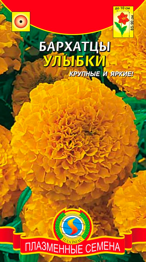 ������ ������ ������ ������� �������� ������������ ������, 45 ��.   ����