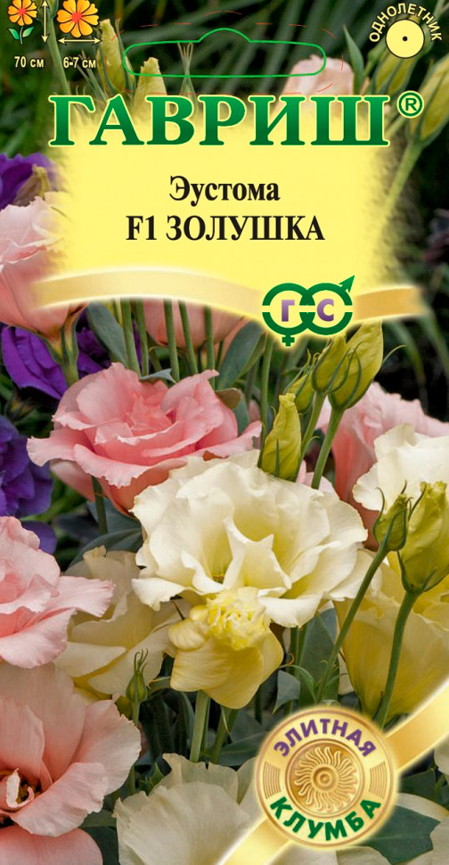 ������ ������ ������ ������ ������� ������� F1, ����� �������� ������, 3 ��. ������� ������   ����