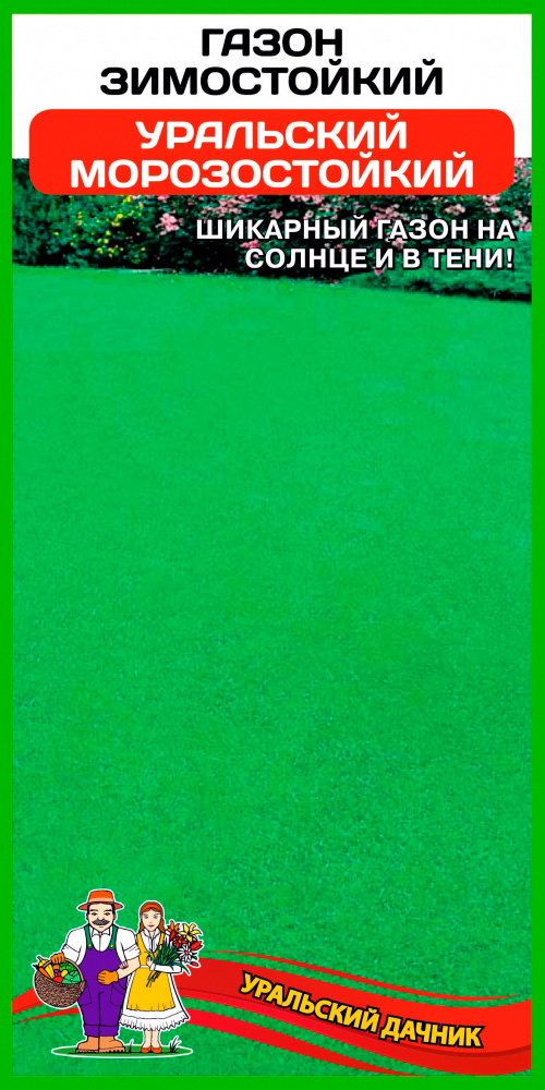 ������ ������ ������ ��������� ������ ����� �����������, 500 �   ����