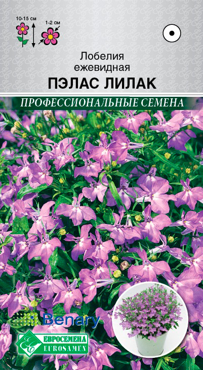 ������ ������ ������ ���������� ������� ����� �����, 10 ����� Benary ���������������� ������   ����