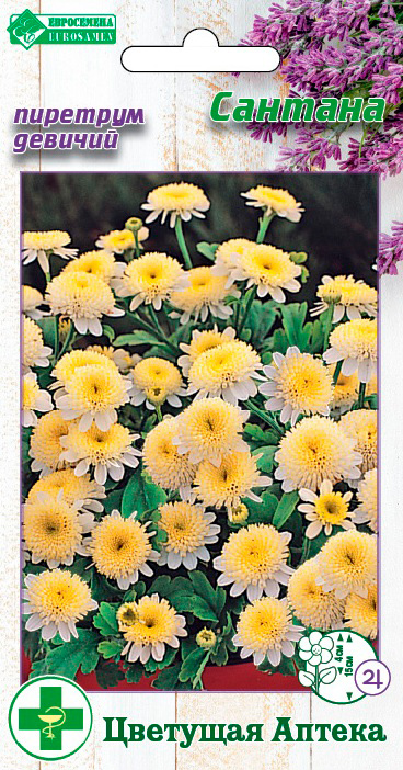 ������ ������ ������ ���������� �������� ������� �������, 10 ��. �������� ������   ����