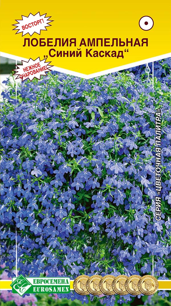 ������ ������ ������ ���������� ������� ��������� ����� ������, 0,1 �   ����