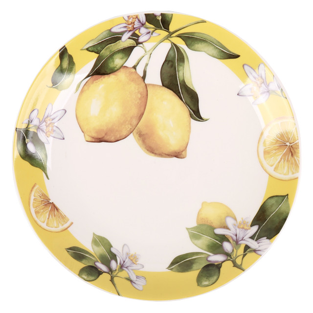������ ������ ������� TODELIA ������ 21,5�� ��������� �������� ������   ����