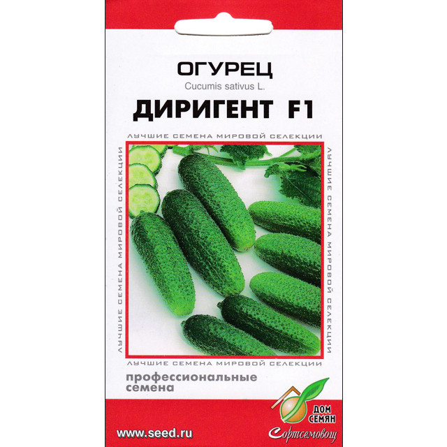 ������ ������ ������ ������ ��� ����� �������� F1 6��   ����