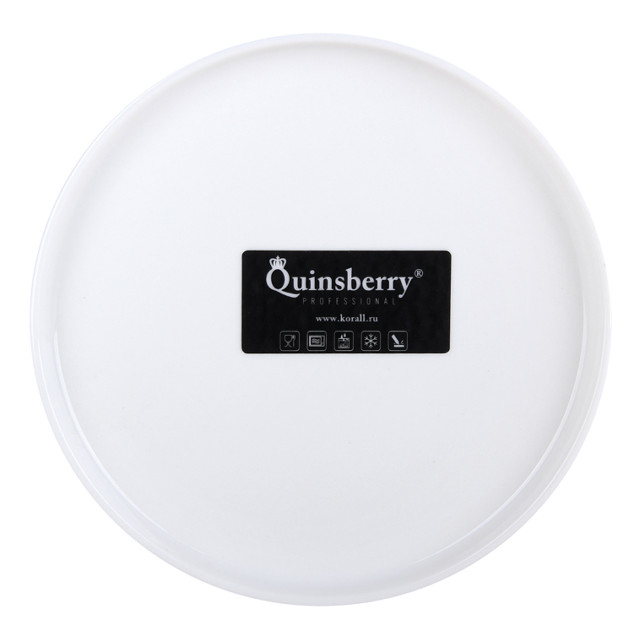 ������ ������ ������� QUINSBERRY Sola 17�� ��������� ������   ����