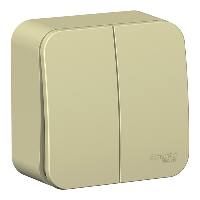 ������ ������ ����������� 2-��������� SYSTEME ELECTRIC Blanca 10A �������   ����