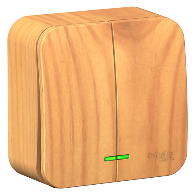 ������ ������ ����������� 2-��������� SYSTEME ELECTRIC Blanca 10A �/� �����   ����