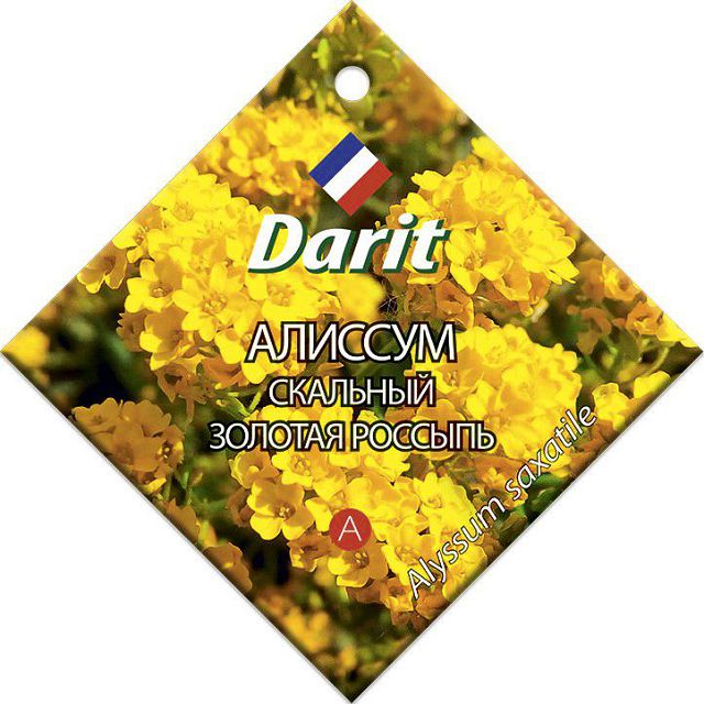 ������ ������ ������ ������� ������� ������� �������� DARIT 0,2�   ����