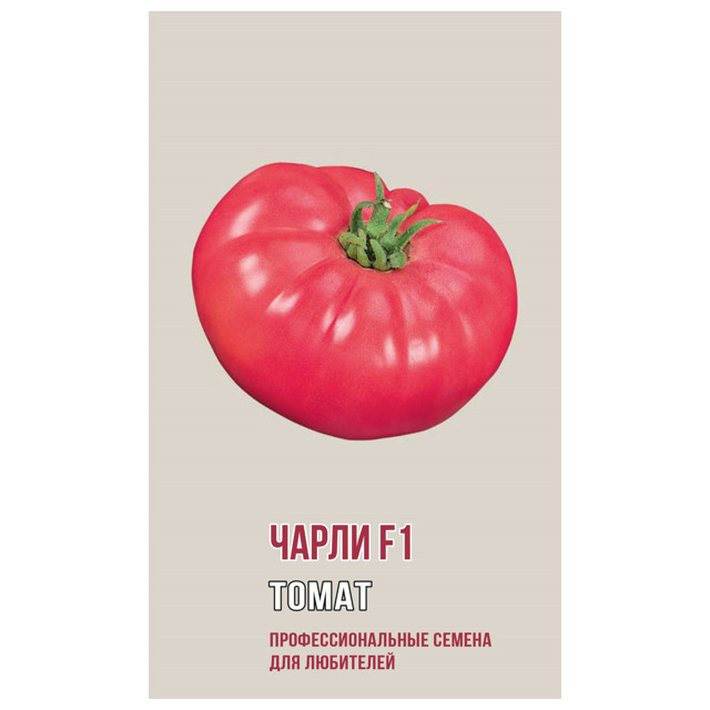 ������ ������ ������ ����� ����� F1 ������ 5��   ����