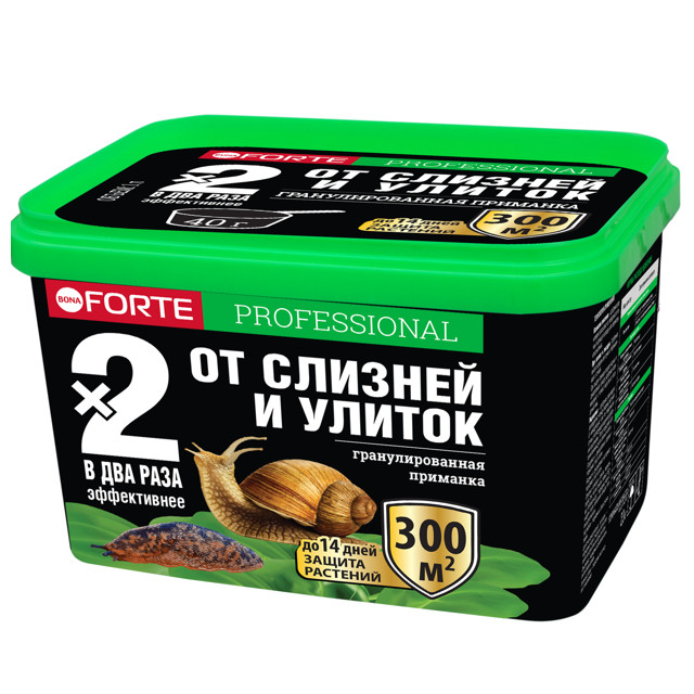 ������ ������ ������� �� ������� � ������ Bona Forte 500��   ����