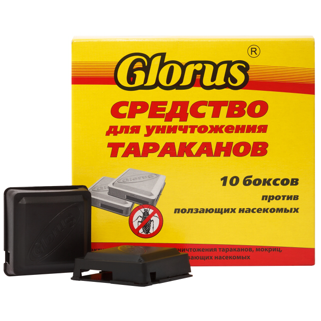 ������ ������ ������� �� ��������� GLORUS 10 ��.   ����