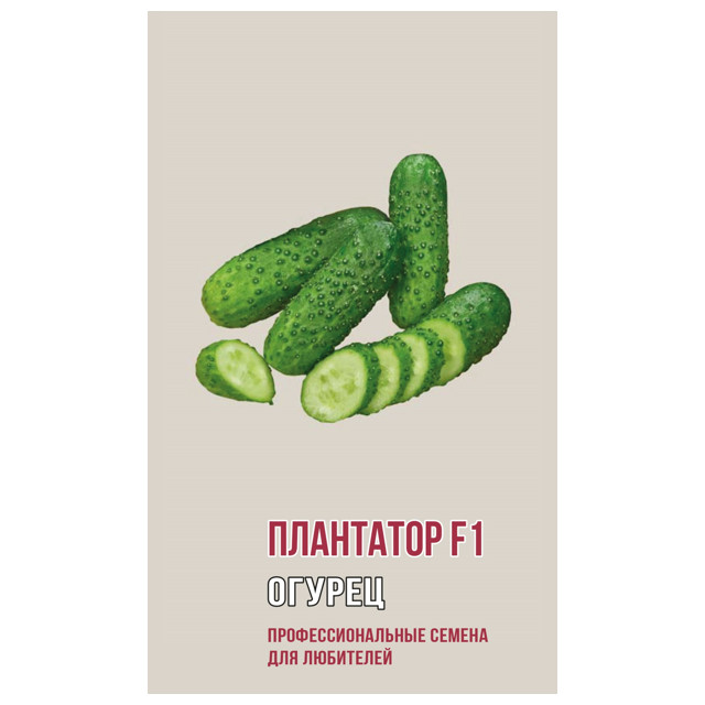 ������ ������ ������ ������ ���������  F1 ������ 5��   ����