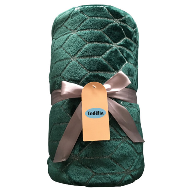 ������ ������ ���� TODELIA 200�220�� �������, ���.EDFF01green   ����