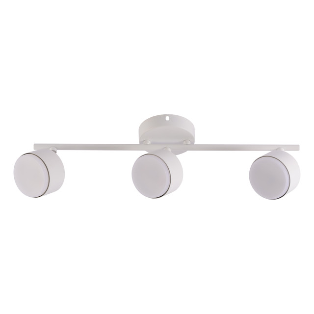 ������ ������ ���� SCHAFFNER Spazio GX53 3x15�� ������ �����   ����