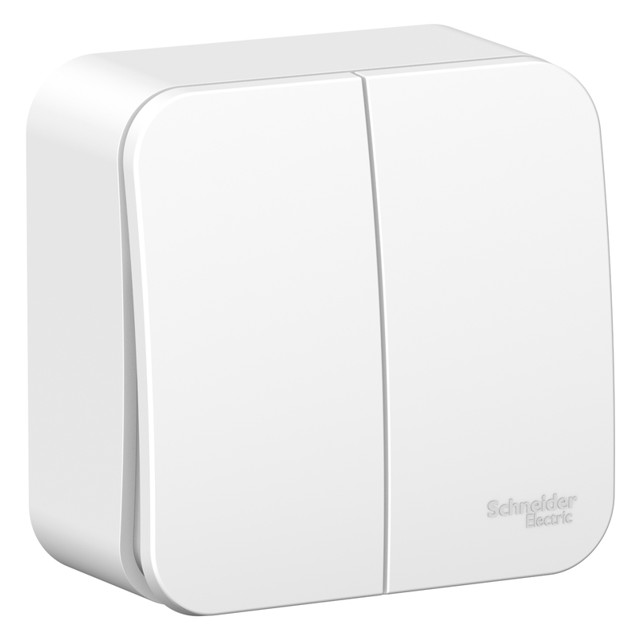 ������ ������ ����������� 2-��������� SYSTEME ELECTRIC Blanca 10A �����   ����