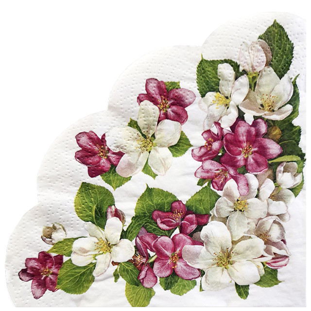 ������ ������ �������� BOUQUET Rondo ��������� ������ 3 ������� 32�� 12�� �������   ����