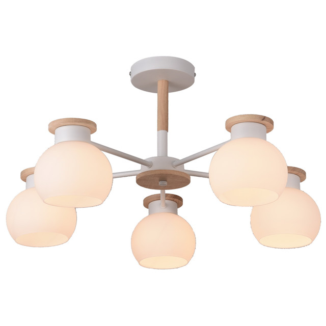 ������ ������ ������ ���������� SCHAFFNER Lavero 5x60�� E27 �����   ����