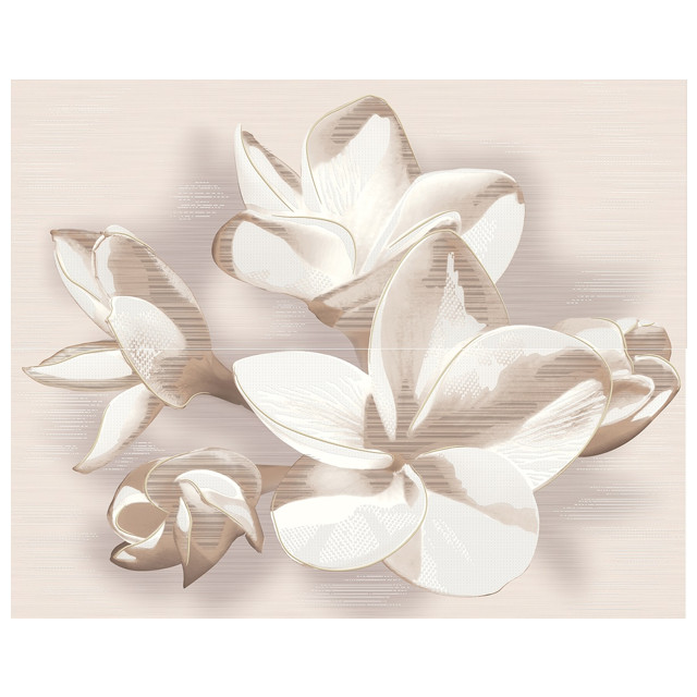 ������ ������ ����� ��������� AZORI Amati plumeria beige (�� 2 ��) 50,5�40,2 �������   ����