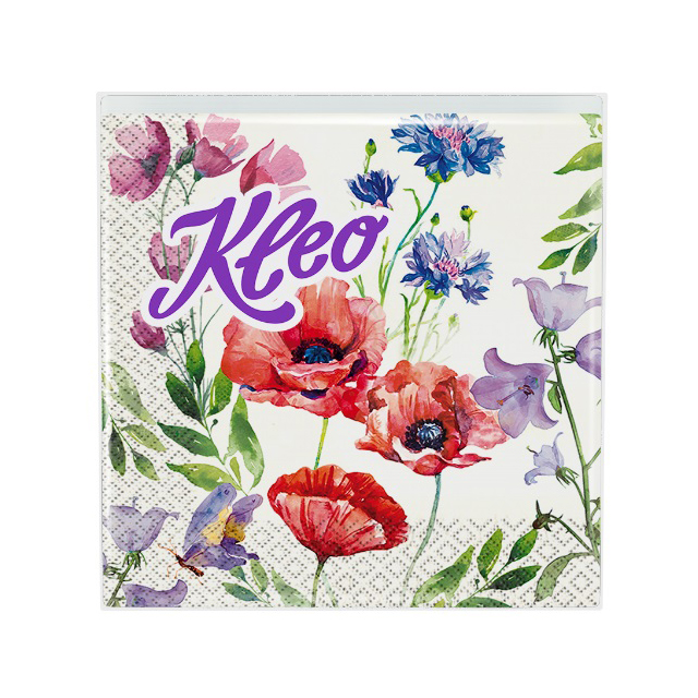 ������ ������ �������� KLEO ������� ����� 3-������� 33�33�� 20��   ����