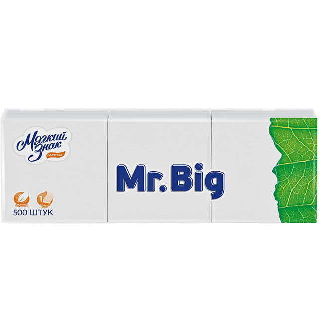 ������ ������ �������� ������ ���� Mr.Big 1-������� 24�24�� 500��   ����