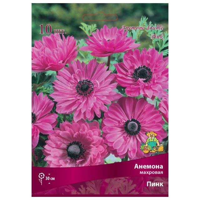 ������ ������ �������� ������� �������� ���� 10 ��.   ����