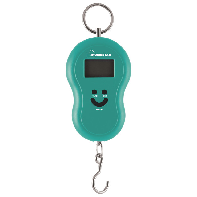 ������ ������ ������ HOMESTAR HS-3003 �� 50�� ����������� ���������   ����