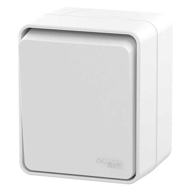������ ������ ����������� �������������� (������) SYSTEME ELECTRIC Atlas Design Profi54 �����   ����