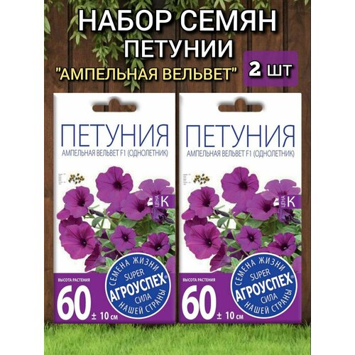 ������ ������ ������ ������ ��������� ������� ������� F1, ��������� ( ����� 2 ��), ���������. ����