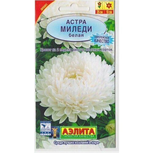 ������ ������ ������ ����� ��������� ������ 