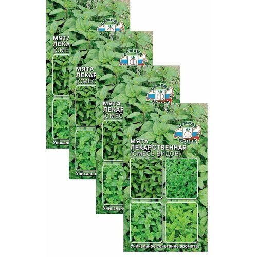 ������ ������ ������ ���� ������������� (����� �����) 0,05 � (�����), 4 �������� * 0,05 � ����