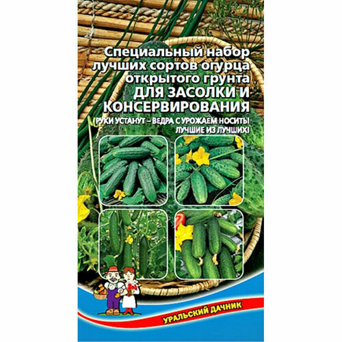 ������ ������ ������ ����� ������� ��� ������� 12 �� (�����) (��������� ������) ����