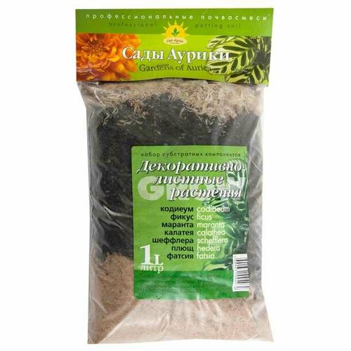 ������ ������ �����������-���������� �������� 1 � (1 ��.) ����