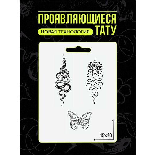 ������ ������ ���� ���������� �������������� �������� ����