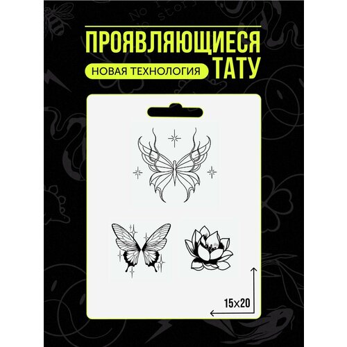 ������ ������ ���� ���������� �������������� �������� ����