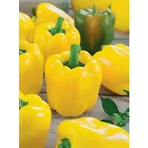 ������ ������ ������������� ������ ����� �������� ������ F1 ����