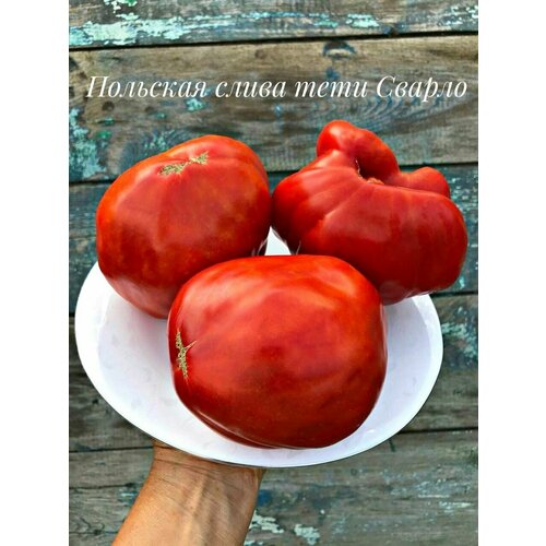 ������ ������ ������������� ������ ������ �������� ����� ��� ������ ����