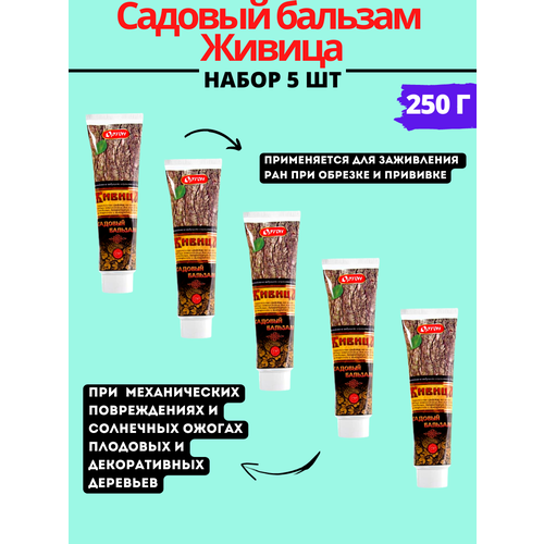 ������ ������ ����� ������� ������� ������ 250 �, 5�� ����