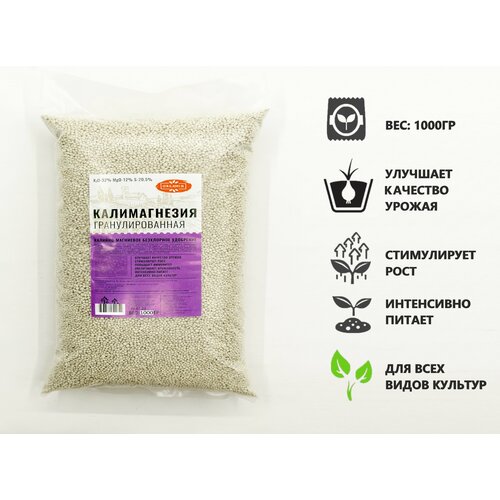 ������ ������ ��������� ������������ 1�� ����