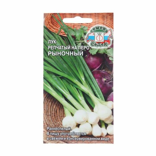 ������ ������ ������ ��� �� ���� 