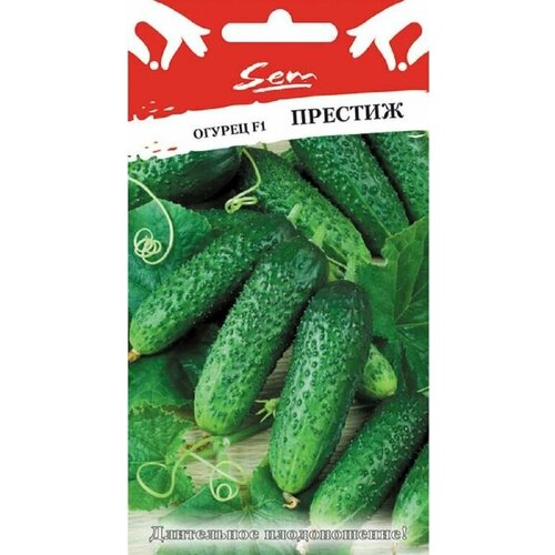 ������ ������ ������ ������ F1 ������� 10 ��. ������� ������ ����