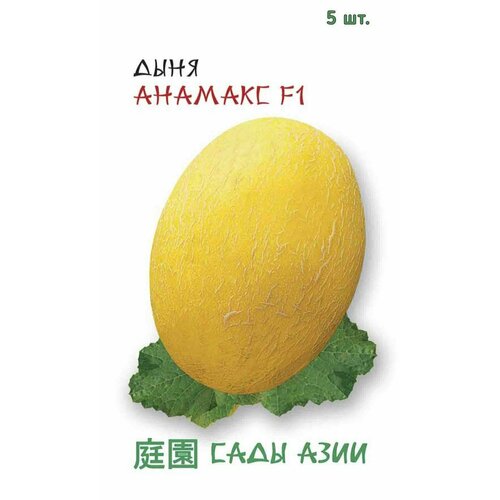 ������ ������ ������ ���� ������� F1 5 �� ���� ���� ����