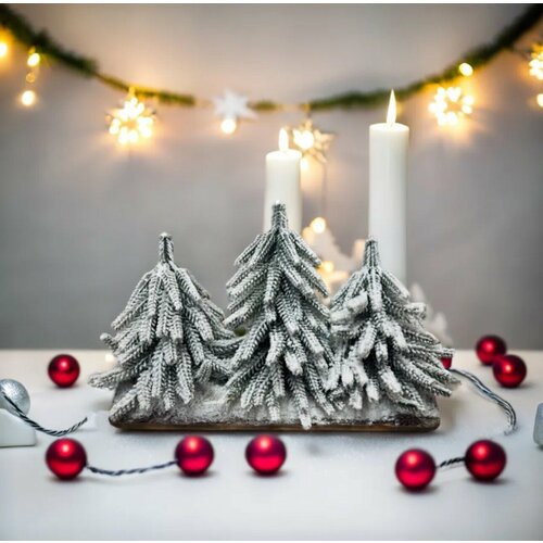 ������ ������ ���� 