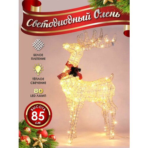 ������ ������ ����� ���������� ������������ ���������� 80 �� ����� ����