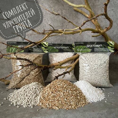 ������ ������ ���������� �����, ������������ ������, �������� �� ���� ����������� ����