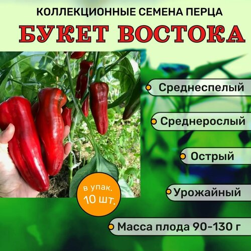 ������ ������ ������������� ������ ����� ������� ����� ������� F1 ����