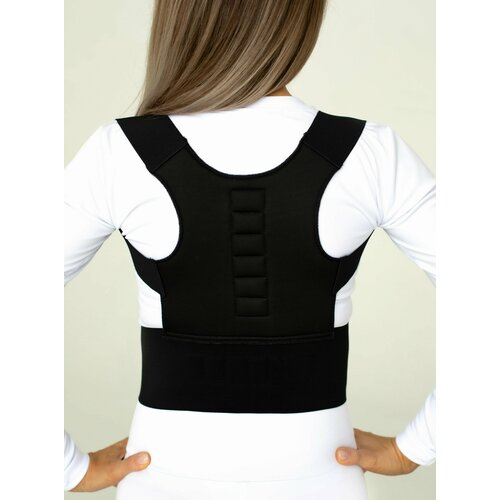 ������ ������ ��������� ��������� ������ (���������) � ���������� ��������� BIOMAG - ������ - BIOMAGNETIC ����