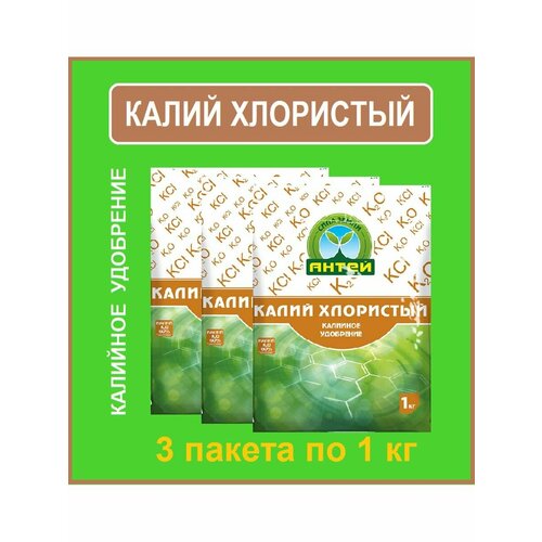 ������ ������ ����� ��������� �������� ���������, 1 ��, 3�� ����