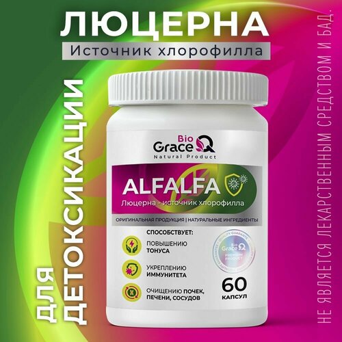 ������ ������ ������� GraceBioQ - �������� ���������� ��� �������� ������, �����, �������, ��� ����������. 60 ������ ����