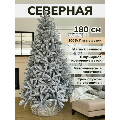 ������ ������ ���� ������������� ���������� ����� �� ������ ����